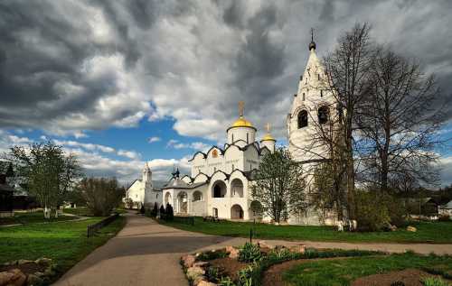 смузи: лучшие рецепты для повышения тонуса